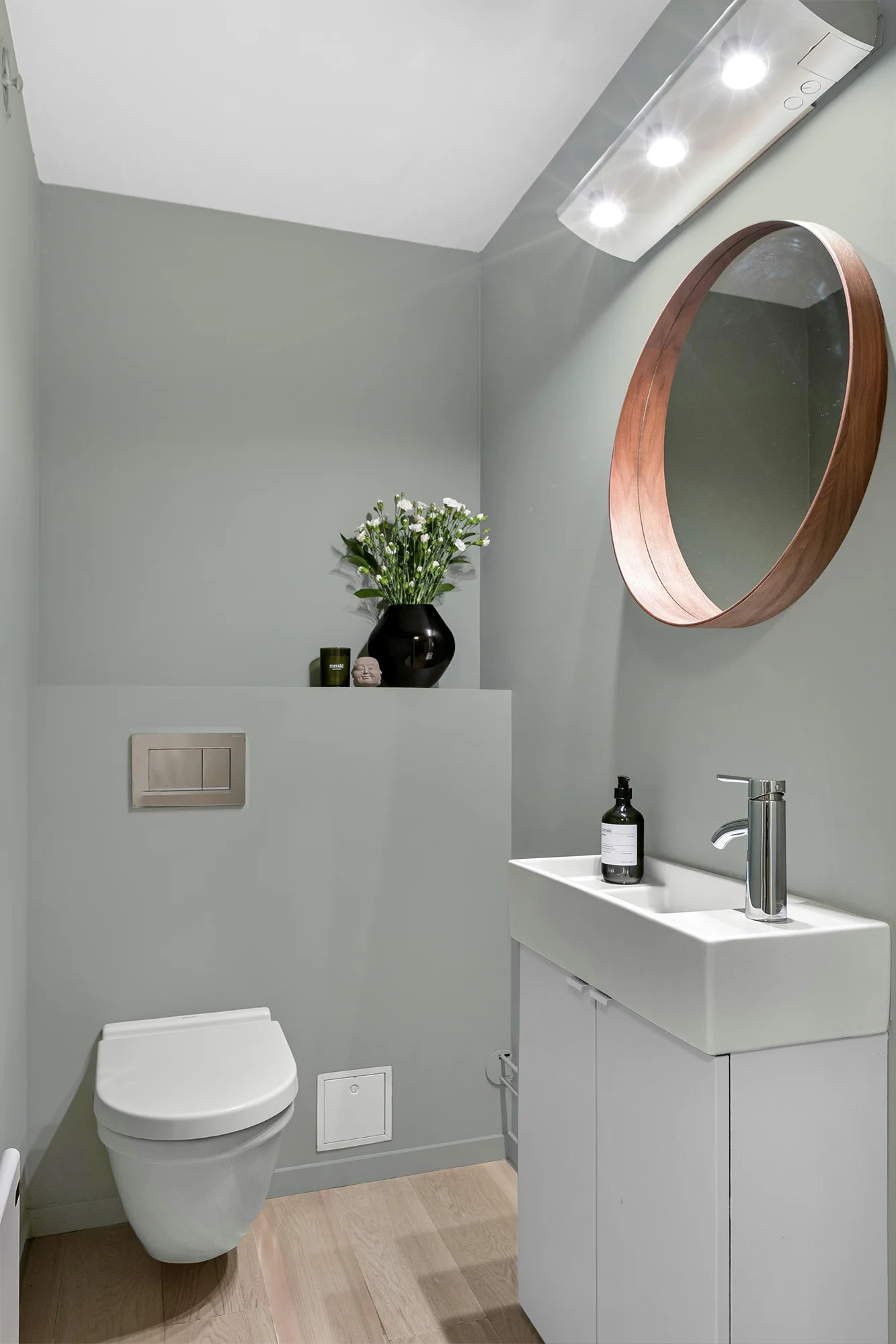 Eucalyptus - Peinture biosourcée murs et plafonds - Image 8
