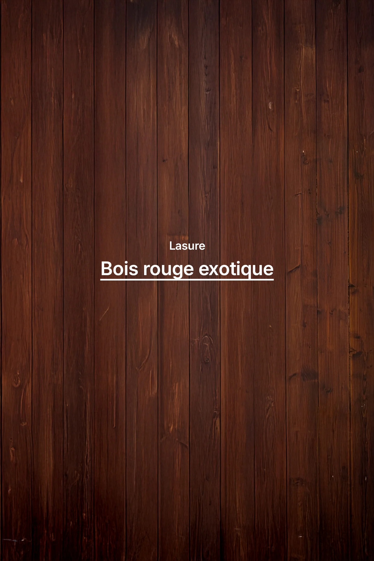 Lasure biosourcée - Image 3