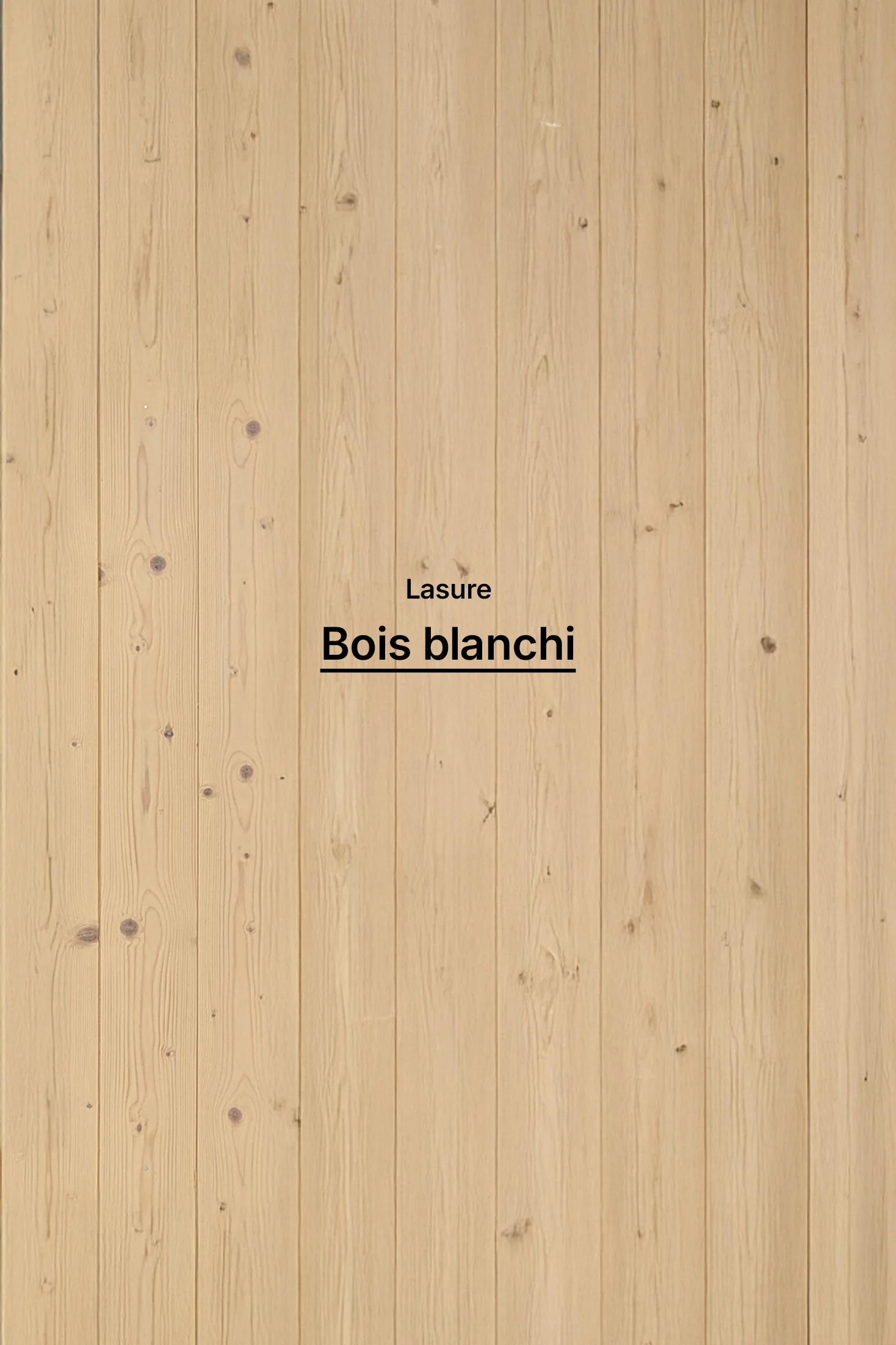 Lasure biosourcée - Image 6