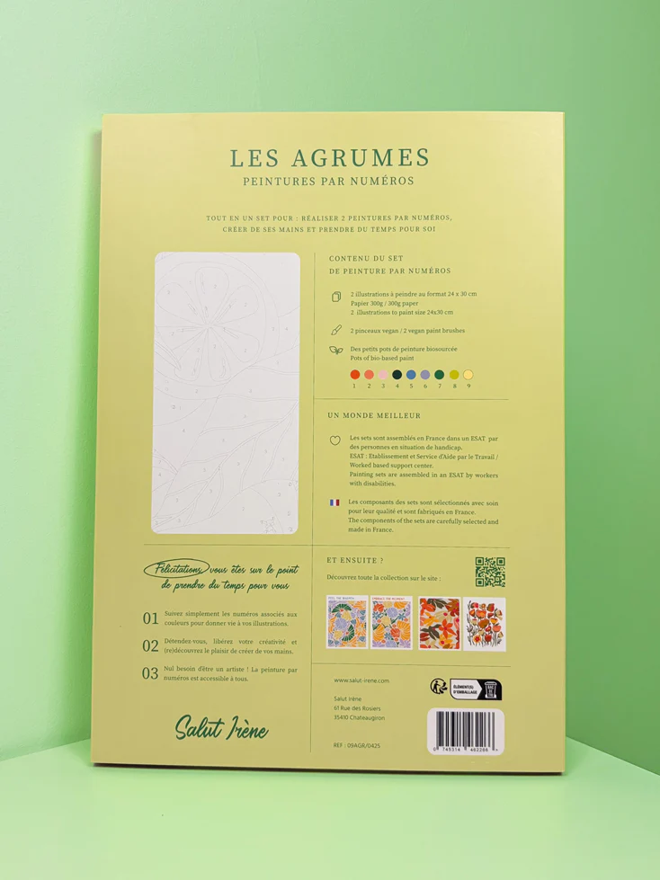 Les agrumes - Coffret peinture au numéro Salut Irène - Image 3