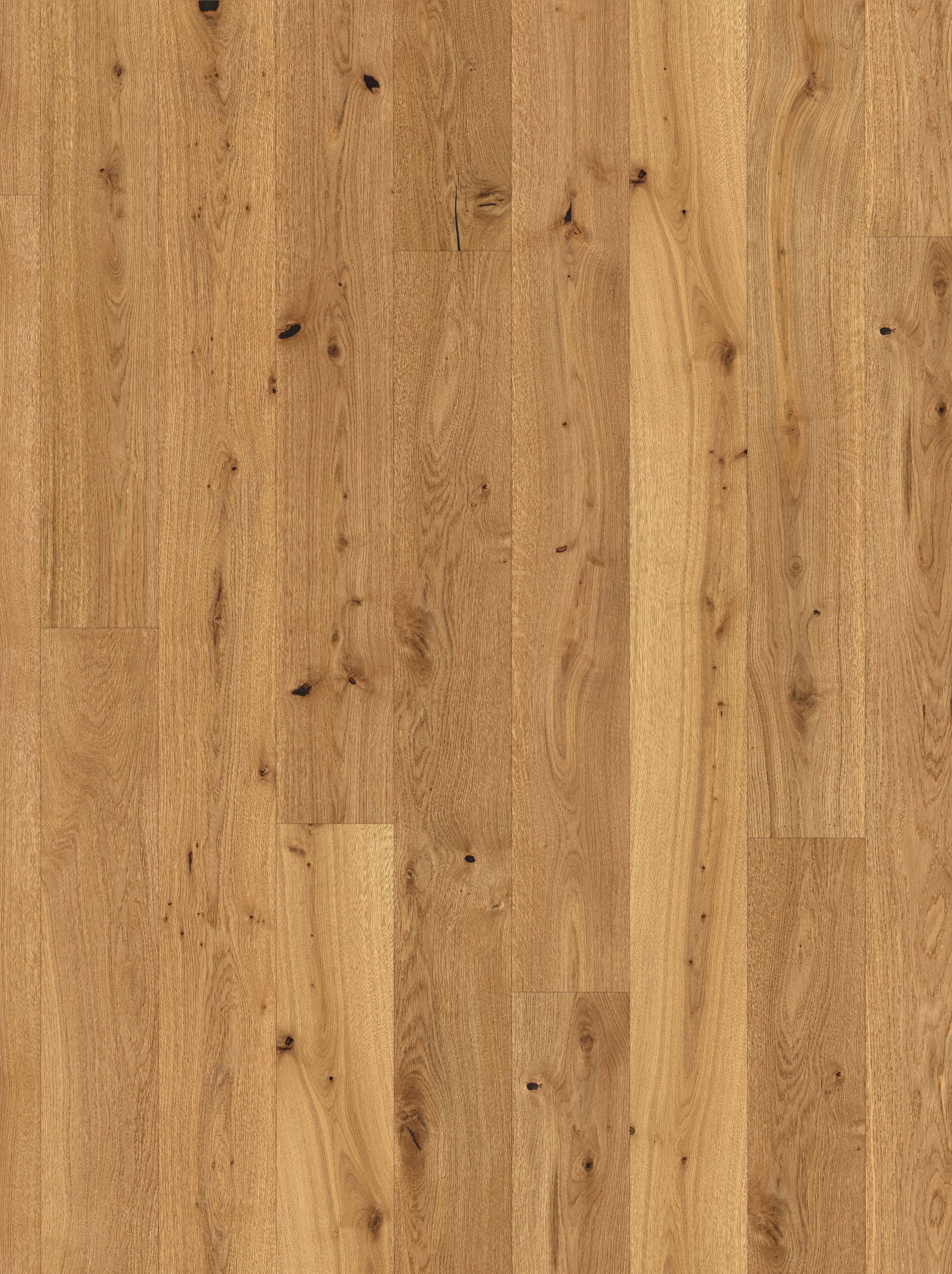 Parquet écologique - Image 5