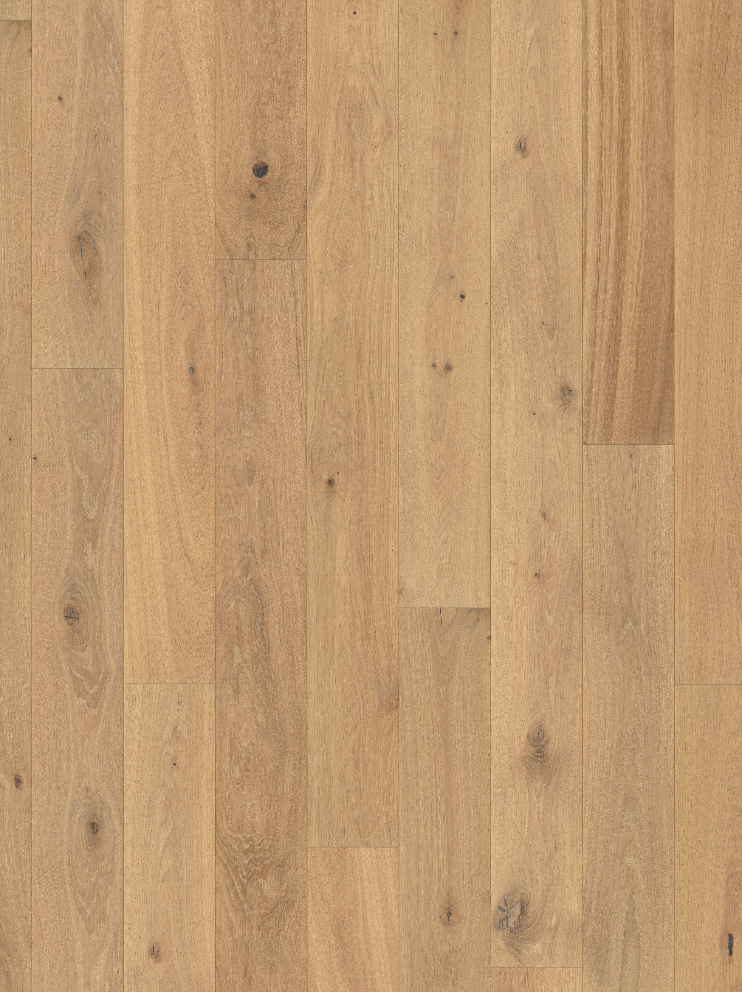 Parquet écologique - Image 6