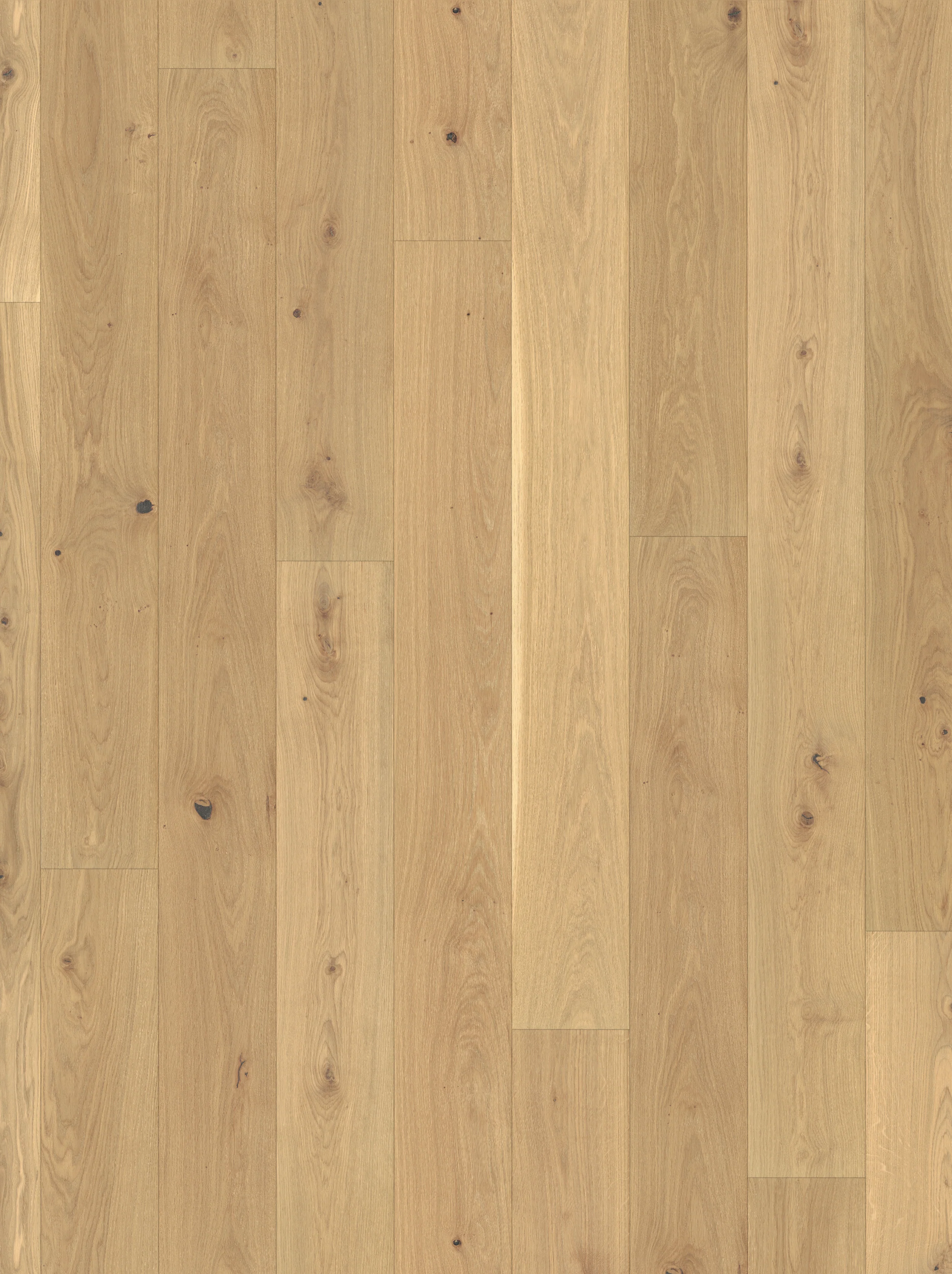 Parquet écologique - Image 7