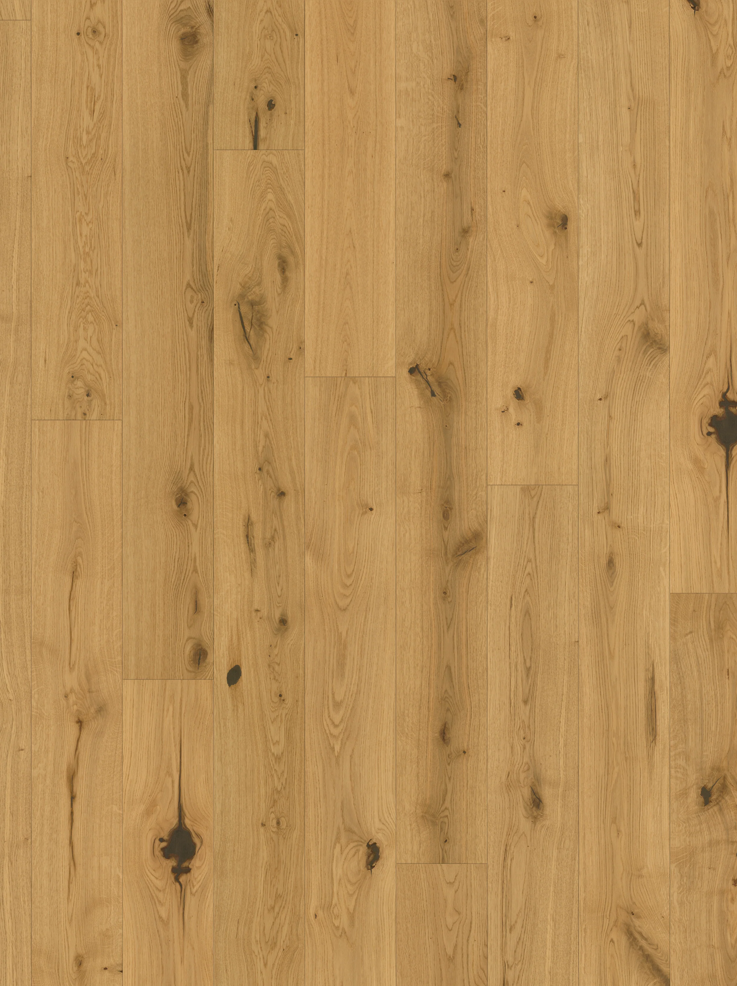 Parquet écologique - Image 9