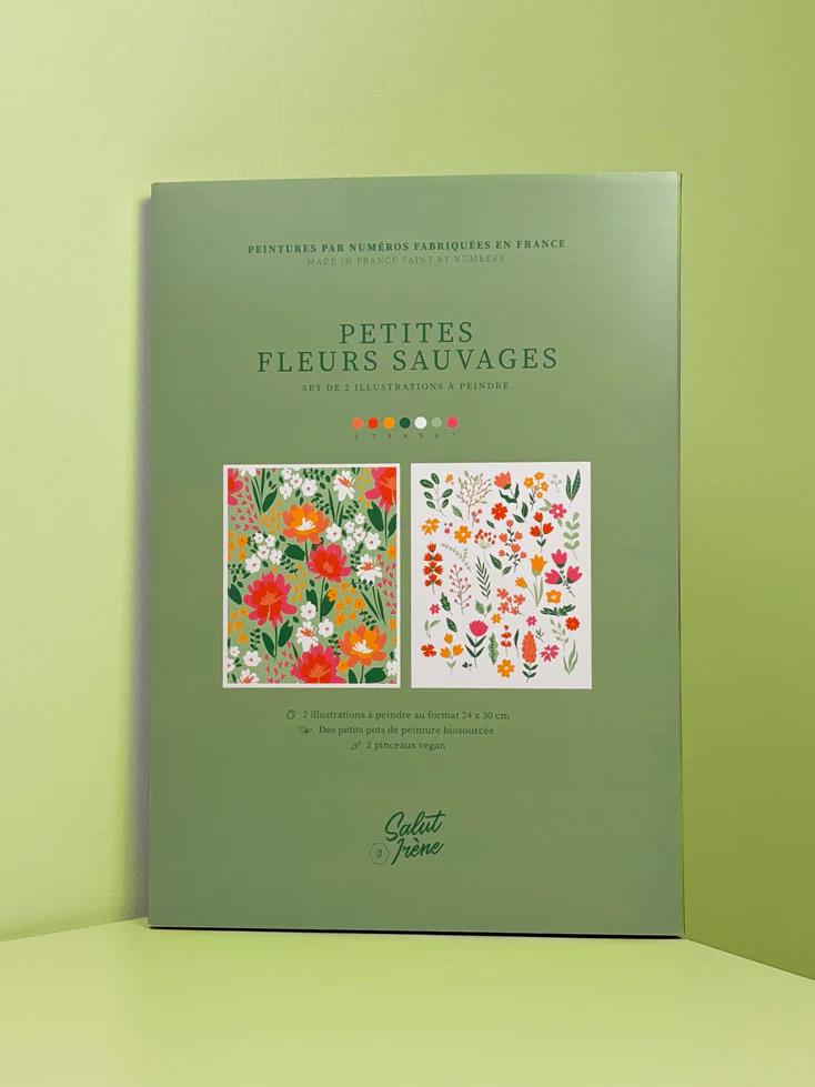 Petites fleurs sauvages - Coffret peinture au numéro Salut Irène
