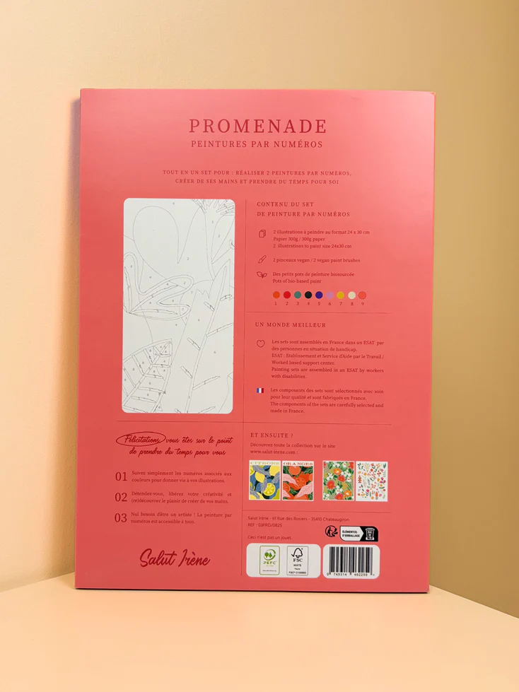 Promenade rouge - Coffret peinture au numéro Salut Irène - Image 3